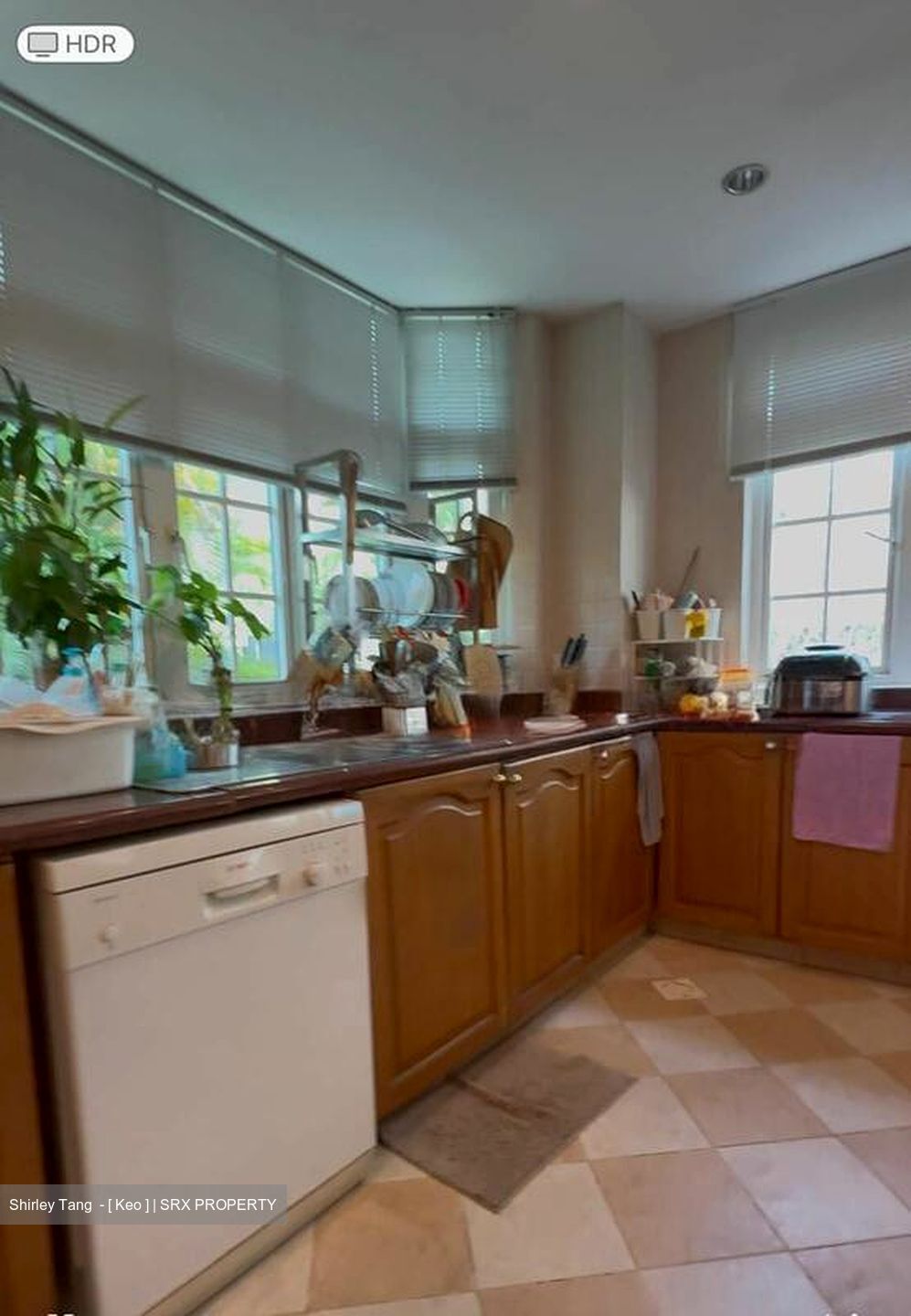 Braddell Heights Estate (D13), Detached #517075311